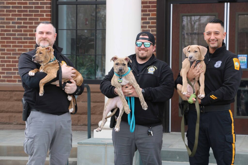 Leader Staff Recognized By New Jersey Press Association